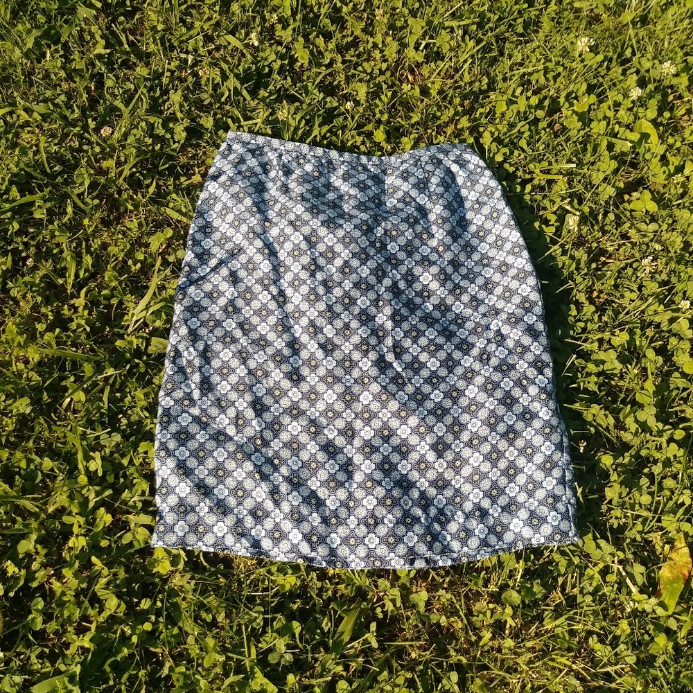 Ann Taylor 100% silk skirt